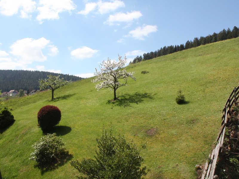 Ferienwohnung Herbert Best Baiersbronn Exterior foto